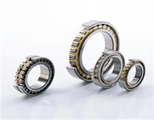 FAG圓柱滾子軸承